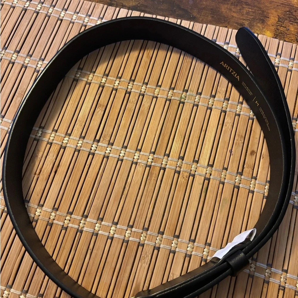 Aritzia Pillar Solid Brass Leather Belt in Black/Gold Size M - worn once